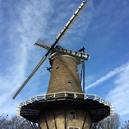 View @ The Mill 알크마르